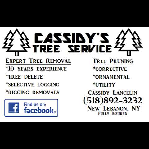 Jobs in Cassidy's Tree Service - reviews